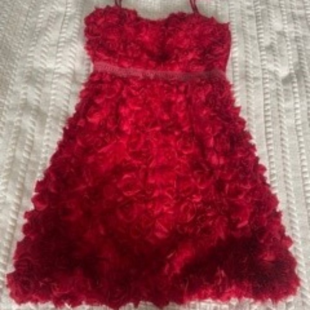 Minuet (Bought from Modcloth) Floral Ruffle Dress
